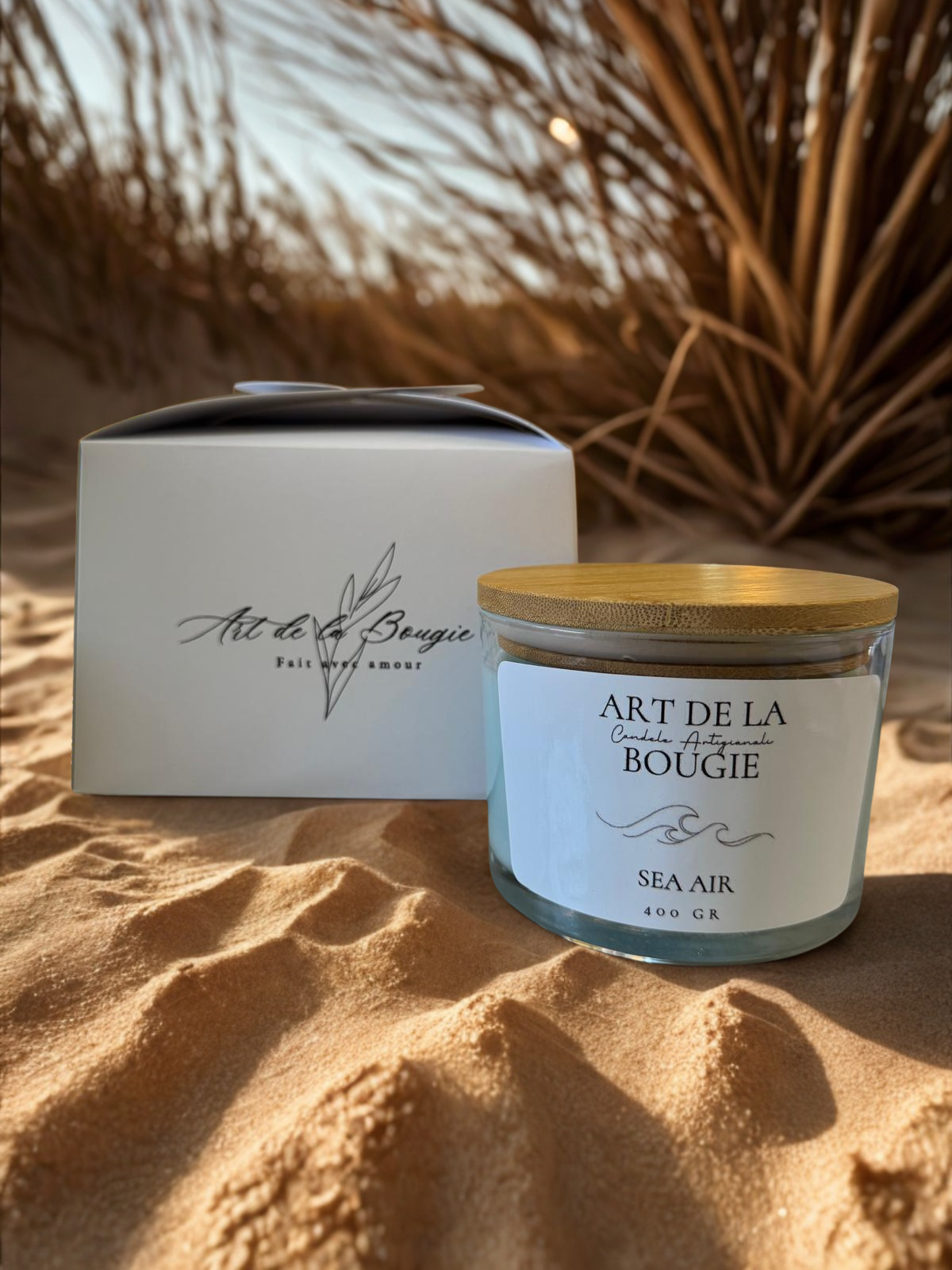 ππΆππΉπππΆ πΆπππΎππΎπΆππΆππ π΅πππππΆ ππΆππΎππΆ π¦π’π’ππ